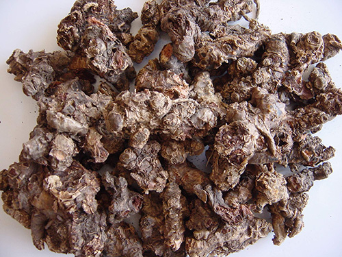 Rhodiola Rosea Root