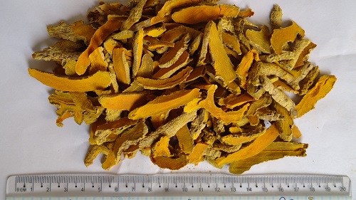 Turmeric Root