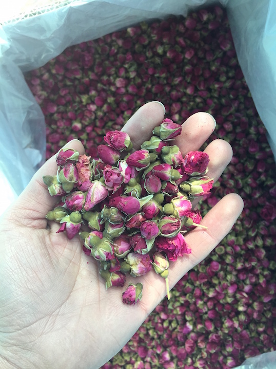 Rose Buds