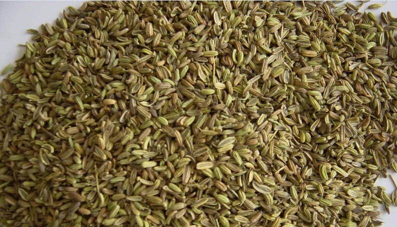 Fennel Seeds