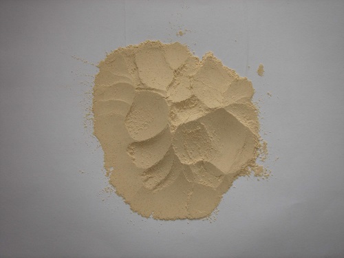 Chinese Yam Powder