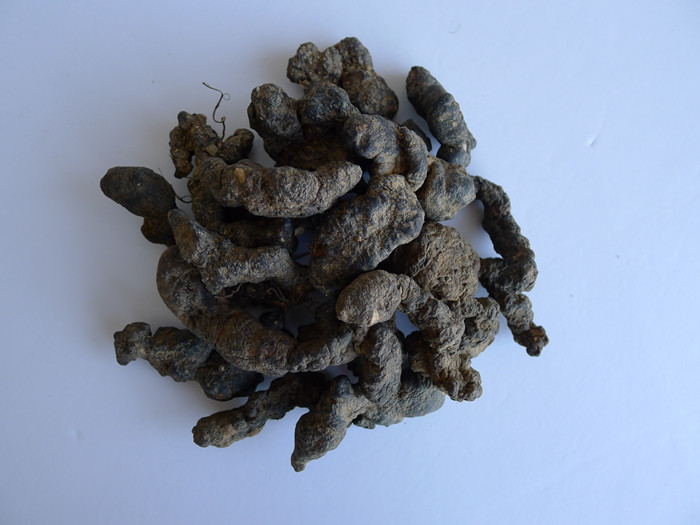 Rehmannia Root Raw