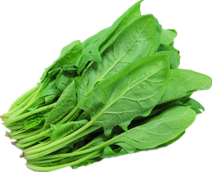 Image result for spinach